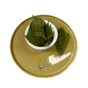 ریشه 136 Laurus nobilis Barg e Boo scaled