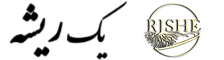 یک سیر ریشه
